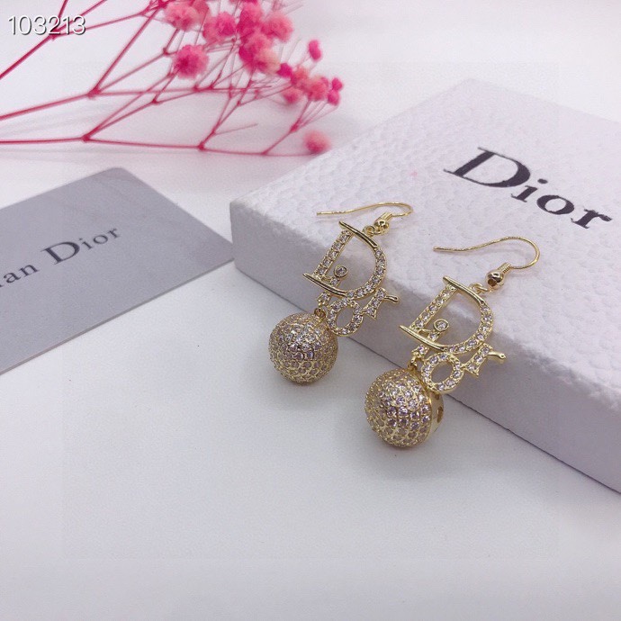 Dior Earring 04lyr399